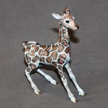 Barry Stein Barry Stein Giraffe Baby